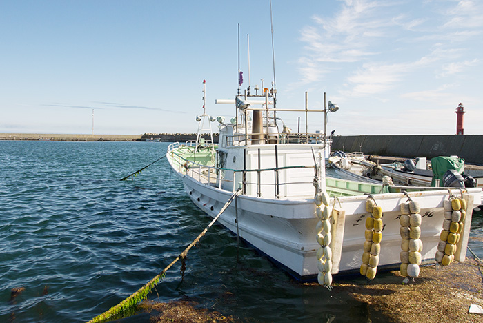 漁業に関する許可手続きに対応